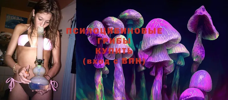 Галлюциногенные грибы Magic Shrooms  Каневская 